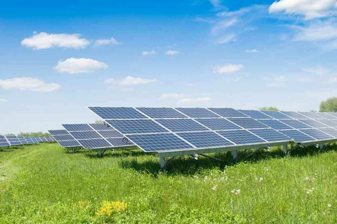 Solar panels in a grassy field under blue sky