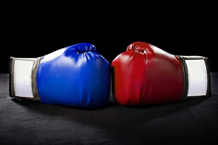 25841114 featured image Blue and red boxing gloves facing each other