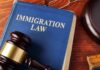 Blue immigration law book with wooden gavel