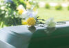 Flowers on a closed casket at a funeral