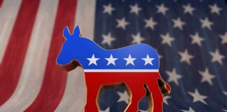 A donkey symbol representing the Democratic Party in front of an American flag background