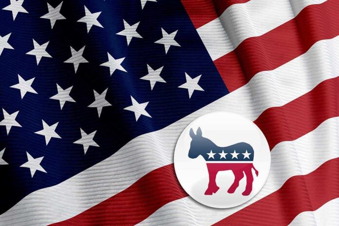American flag with a Democratic Party donkey symbol