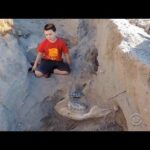 11-Year Old Makes HISTORIC 48M-Year Old Fossil Find! 11-Year Old Makes HISTORIC 48M-Year Old Fossil Find