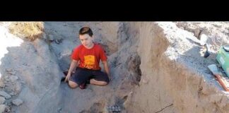 11-Year Old Makes HISTORIC 48M-Year Old Fossil Find
