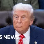 Rand Paul TORCHES Trump Election Power Grab