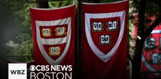 Trump SUES IVY League Establishment - $1B Demand