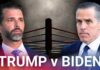 Biden WANTS Cage Fight With Trump Sons