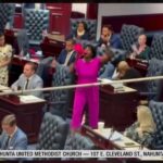 Dem Rep STORMS HOUSE AISLE With Pink Bullhorn Screaming