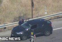 ICE Agents SHOOT Man Trying To Ram Them