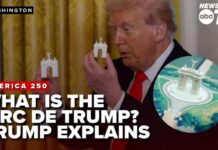 Trump's 250-Foot "Triumphal Arch" Design LEAKED