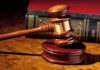 SICKENING: Attorney Charged with Felony Bestiality After Wife Catches Him! A wooden gavel resting on a polished surface with a law book in the background