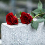 Legendary Director Gone – Hollywood Stunned! Red roses on a gray stone surface.