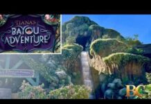 13-year-old boy falls down waterfall of Tiana’s Bayou Adventure at Disneyland