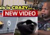 Released 911 Captures FRANTIC Karmelo Anthony After Killing! Karmelo Anthony / Austin Metcalf - Full Video Footage Released - Reaction.. Thoughts