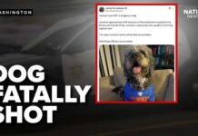 Officer fatally shot dog wearing Knicks jersey: 911 call
