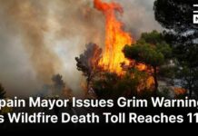 Tourist Trap Turns Deadly Inferno – 11 Dead! BREAKING: At Least 11 Killed as Fast-Moving Wildfire Devastates Southern Spain's Almería Region|AP1B