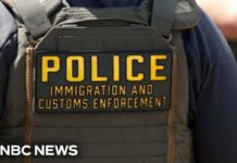ICE Chase Ends – Illegal WHACKED By Semi! Man killed while fleeing ICE officers in Florida
