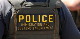 Man killed while fleeing ICE officers in Florida