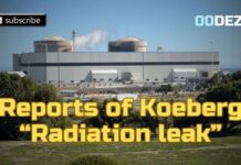 Nuclear Power Station LEAKS – Chernobyl 2.0? The Koeberg "Radiation Leak" situation.