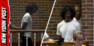Teen Allegedly Slaughtered Mom, Brother After Asking AI To Create ‘Fantasies’ About Murdering Family