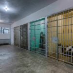 ICE Guards Taunt Starving Kids Interior view of a prison cell block with metal bars and concrete flooring
