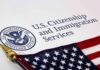 Small Metal Cages Discovered Outside ICE Detention Center U.S. Citizenship and Immigration Services document with American flag