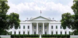 The White House with fountain and red flower bed