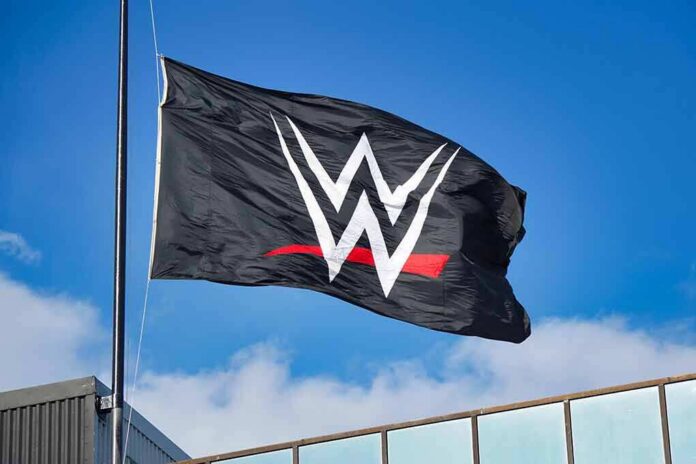Black flag with stylized white W logo and red underline