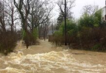 Flooded residential street with fast-moving muddy water