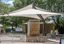Lunatic DEAD After Jumping into Tiger Pen Dallas Zoo entrance sign under large shade canopy