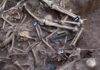 Teen Runners Find Corpse In Park Human skeletal remains in an excavated mass grave