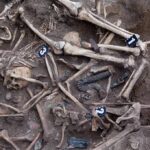 Human skeletal remains in an excavated mass grave